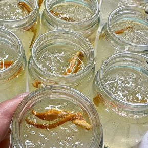 Chế biến theo quy trình đặc biệt