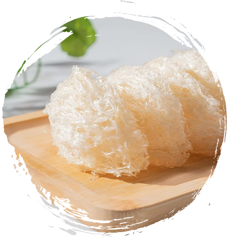 Tổ yến chưng đường phèn