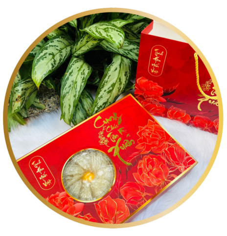 Set quà Yến Tổ tinh chế 80g