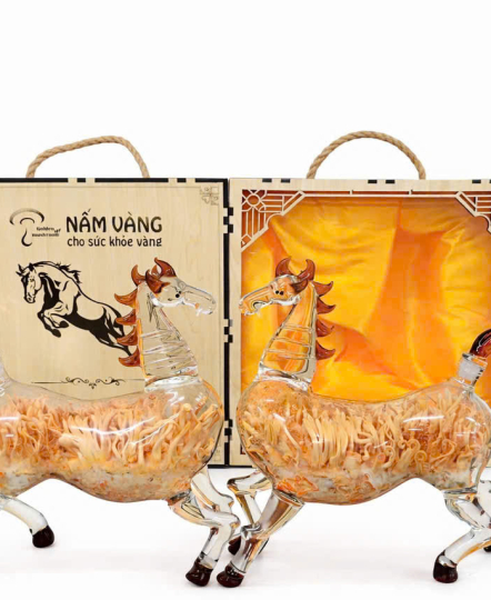 Hộp quà tết Đông Trùng Hạ Thảo